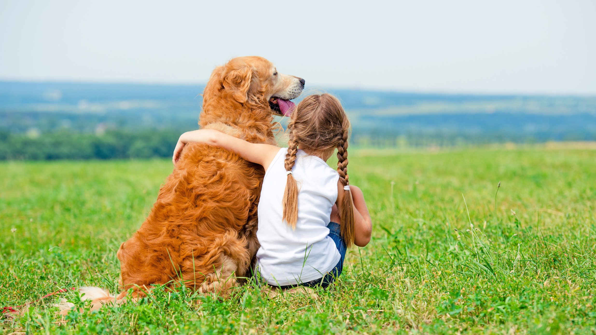 What Makes People Different From Animals?
